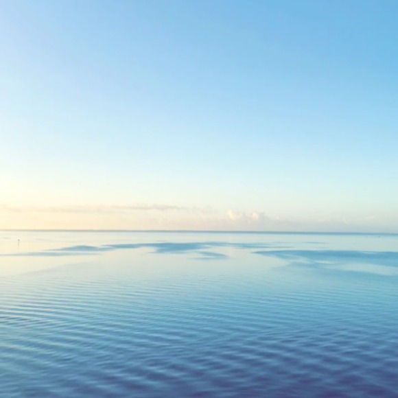 Meet your Posher, Diana - Picture 1 of 1